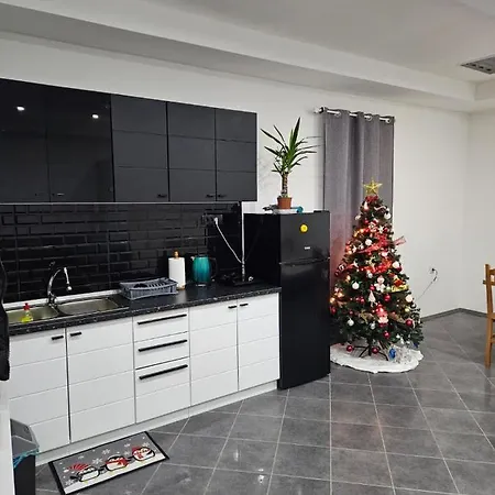 Apartment Dimitrijevic *